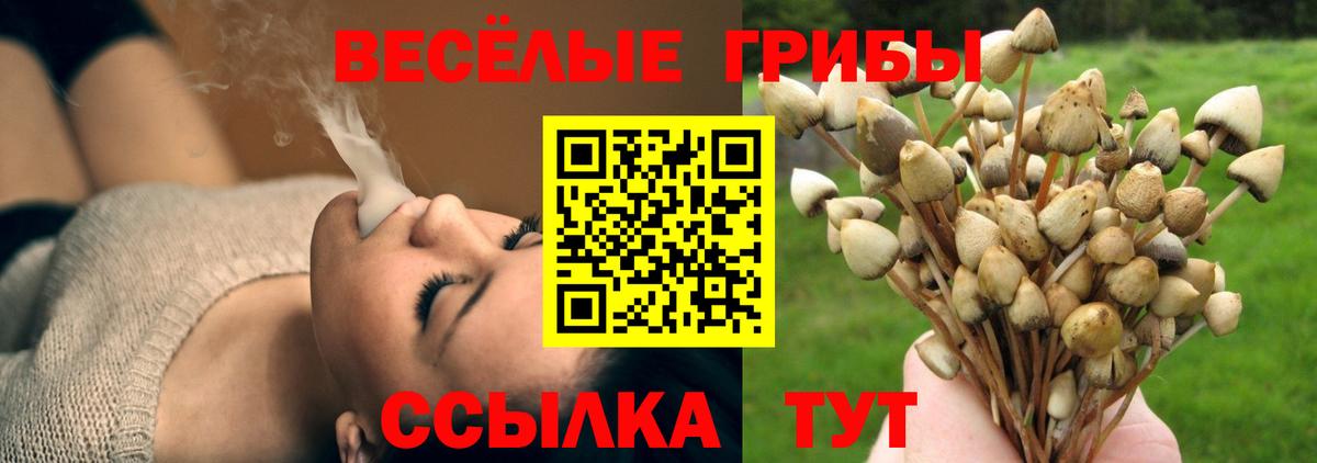 Кингисепп  купить наркотик  Вход с VPN  Галлюциногенные грибы Magic Shrooms 