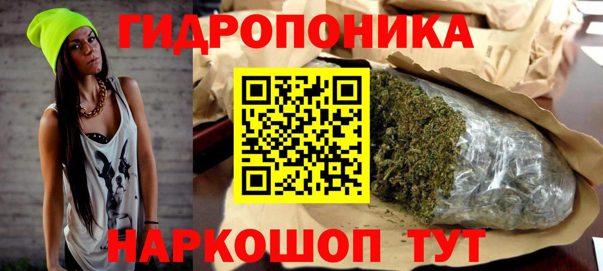 Бошки марихуана гибрид  Вход с VPN  Кингисепп  Марихуана конопля  Марихуана конопля  Конопля индика 