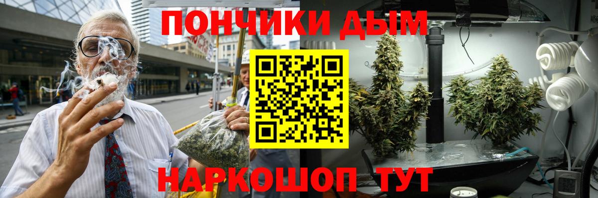 Бошки Шишки план Кингисепп